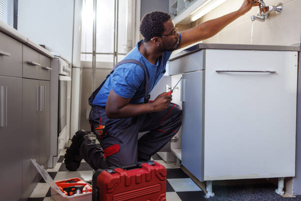 Best Local Plumber Services  in Rheems, PA